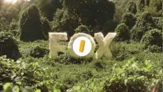 FOX ������ �� ����� � ������� � HD � SD ������